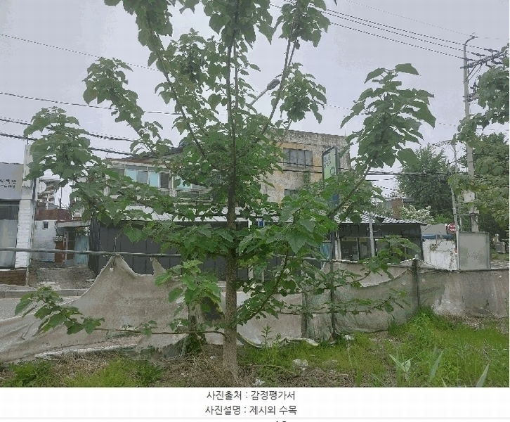 2025타경41878 경기도 평택시 서정동 552-23 대지 경매 이미지