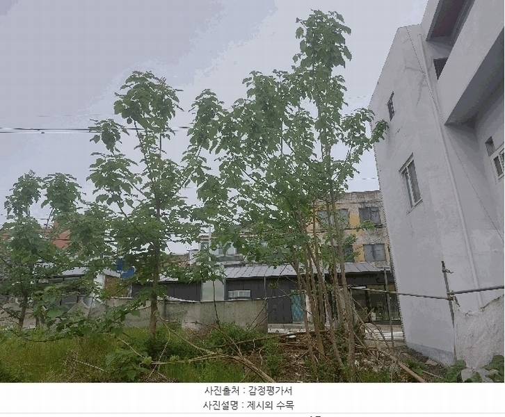 2025타경41878 경기도 평택시 서정동 552-23 대지 경매 이미지
