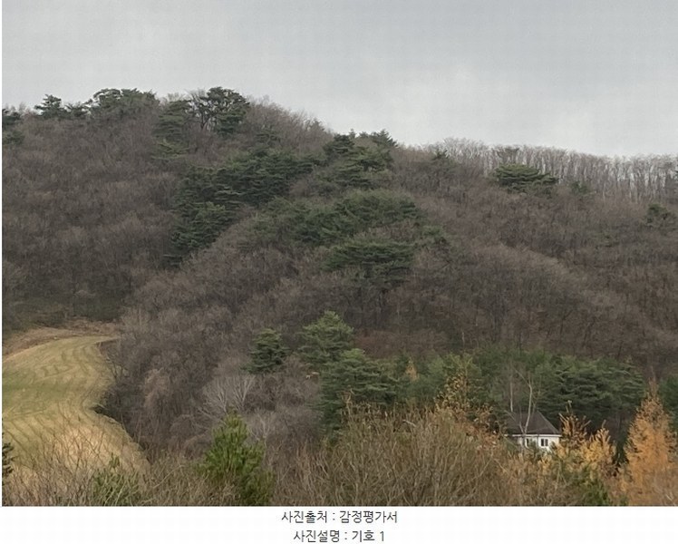 2024타경1888 강원특별자치도 평창군 대관령면 차항리 491-14 임야 경매 이미지