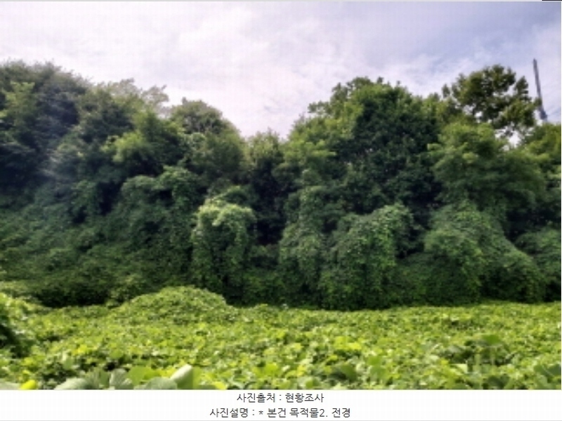 2024타경3143 경기도 평택시 이충동 111-1 임야 경매 이미지