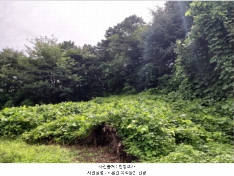 2024타경3143 경기도 평택시 이충동 111-1 임야 경매 이미지