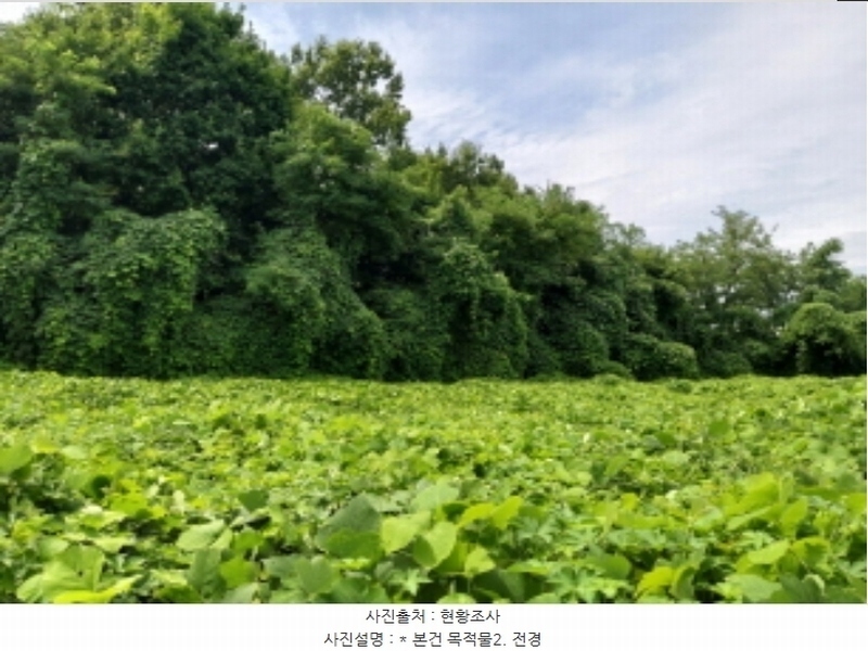 2024타경3143 경기도 평택시 이충동 111-1 임야 경매 이미지