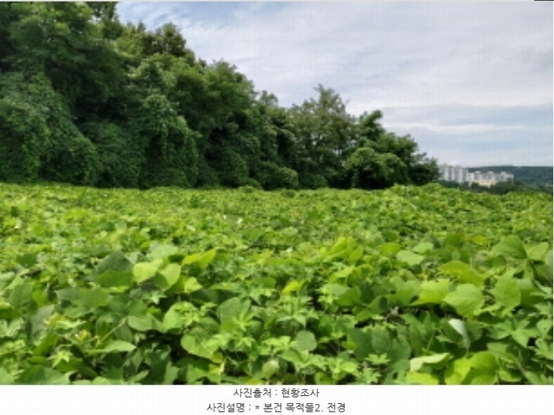 2024타경3143 경기도 평택시 이충동 111-1 임야 경매 이미지