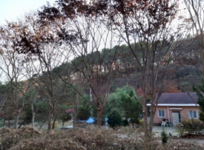 2024타경4542 경기도 평택시 진위면 동천리 157 농지 경매 이미지