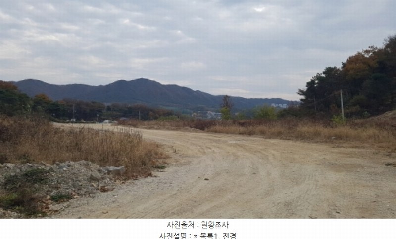 2024타경4917 경기도 안성시 보개면 상삼리 360-1 임야 경매 이미지