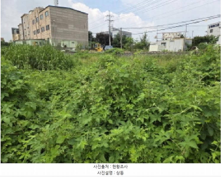 2025타경622 충청남도 아산시 둔포면 염작리 290-6 농지 경매 이미지