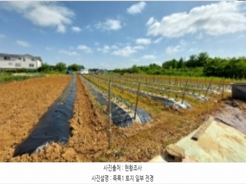 2024타경46126 경기도 평택시 팽성읍 안정리 83-6 농지 경매 이미지