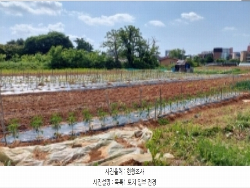 2024타경46126 경기도 평택시 팽성읍 안정리 83-6 농지 경매 이미지