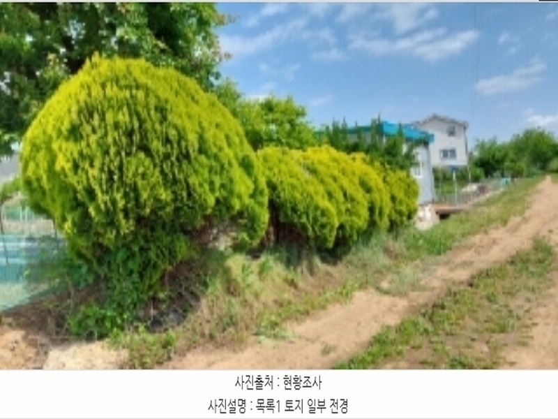 2024타경46126 경기도 평택시 팽성읍 안정리 83-6 농지 경매 이미지