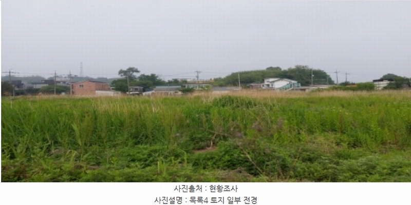 2024타경46331 경기도 평택시 팽성읍 신대리 96 농지 경매 이미지