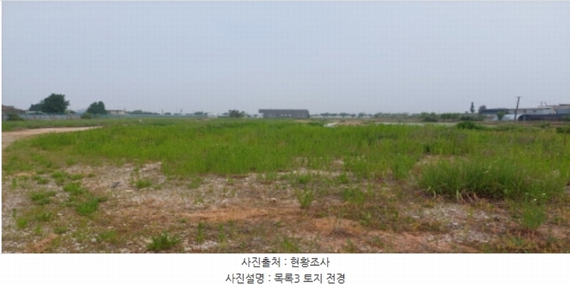 2024타경46331 경기도 평택시 팽성읍 신대리 96 농지 경매 이미지