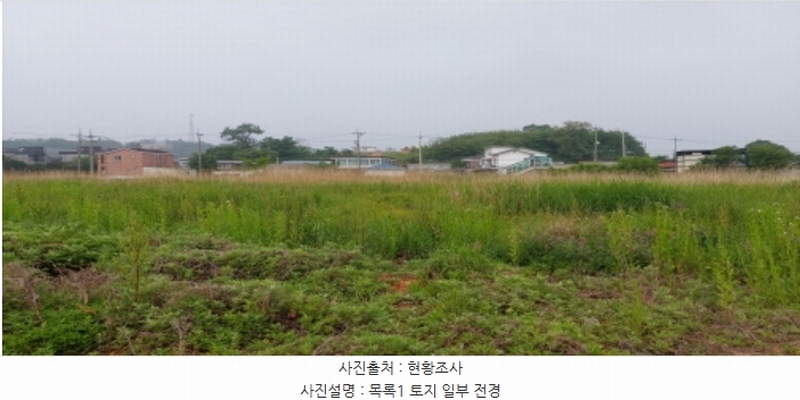 2024타경46331 경기도 평택시 팽성읍 신대리 96 농지 경매 이미지