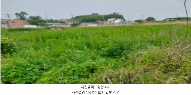 2024타경46331 경기도 평택시 팽성읍 신대리 96 농지 경매 이미지