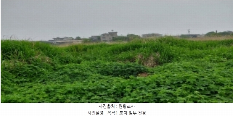 2024타경46331 경기도 평택시 팽성읍 신대리 96 농지 경매 이미지