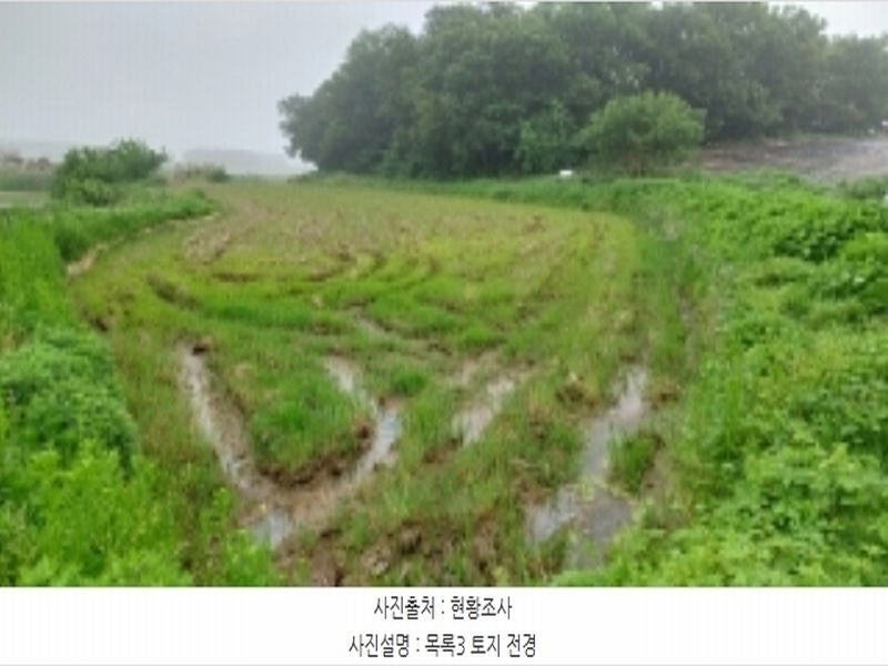 2024타경46447 경기도 평택시 포승읍 신영리 472 농지 경매 이미지