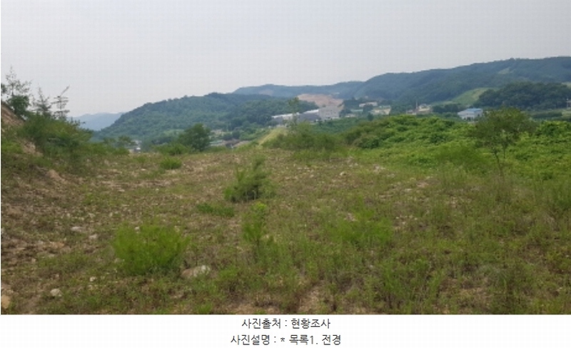 2024타경48030 경기도 안성시 죽산면 두교리 183-5 임야 경매 이미지