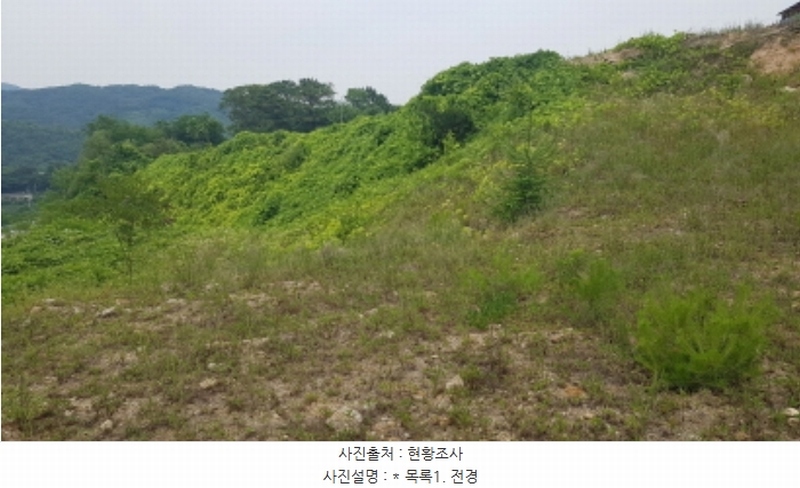 2024타경48030 경기도 안성시 죽산면 두교리 183-5 임야 경매 이미지