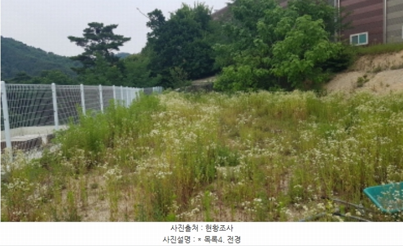 2024타경48030 경기도 안성시 죽산면 두교리 183-5 임야 경매 이미지