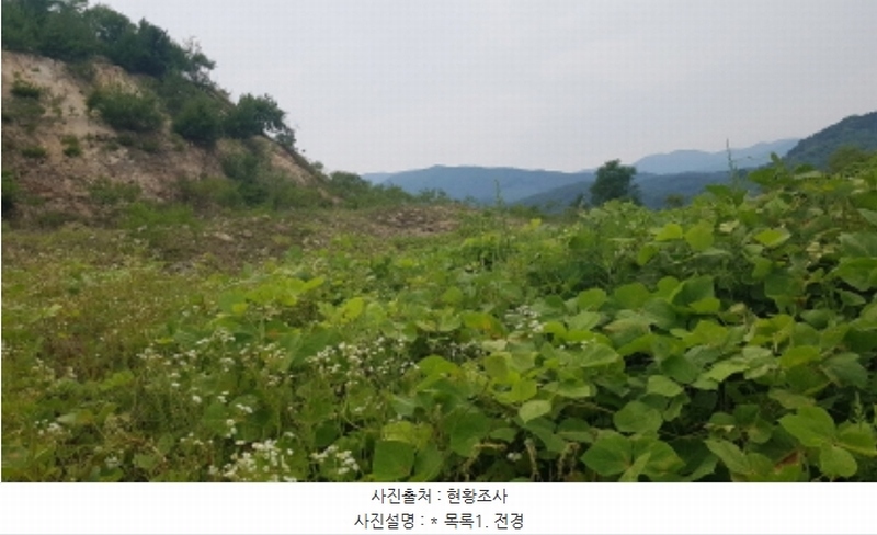 2024타경48030 경기도 안성시 죽산면 두교리 183-5 임야 경매 이미지