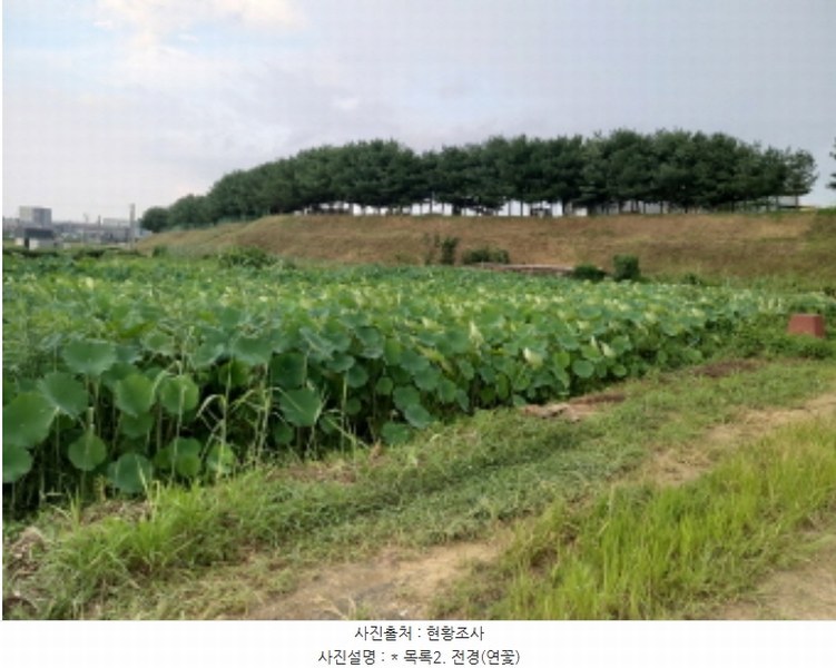 2024타경49859 경기도 평택시 서탄면 수월암리 1026-1 주택 경매 이미지