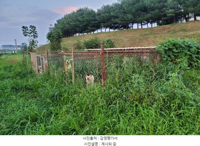 2024타경49859 경기도 평택시 서탄면 수월암리 1026-1 주택 경매 이미지