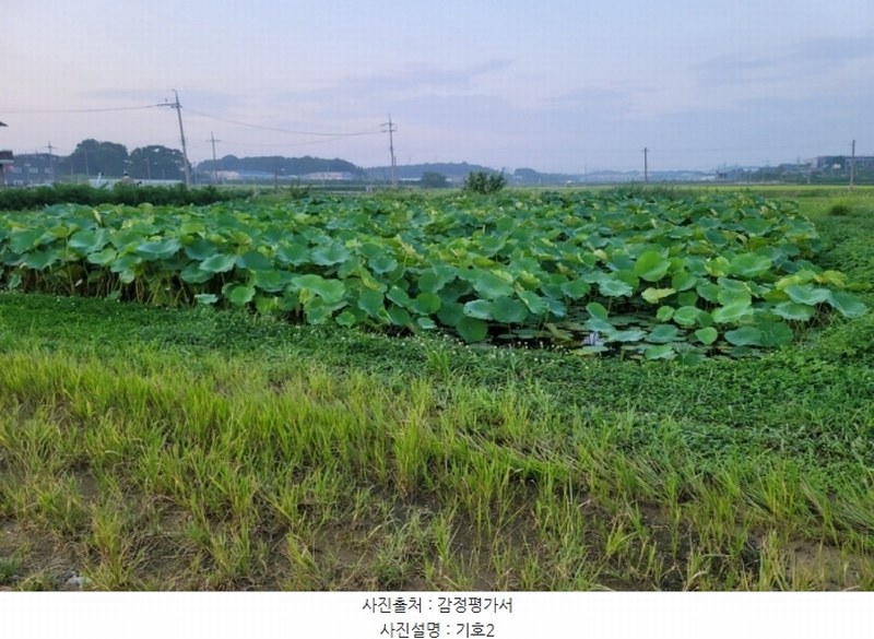 2024타경49859 경기도 평택시 서탄면 수월암리 1026-1 주택 경매 이미지
