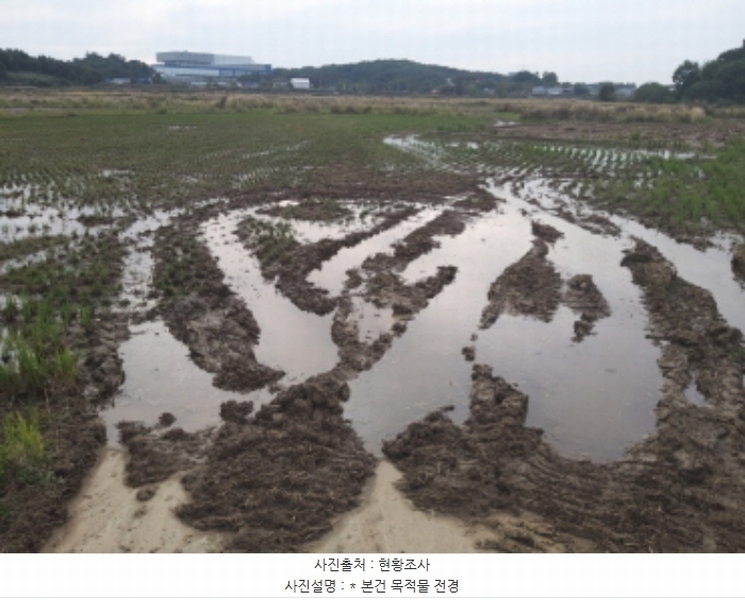 2024타경52046 경기도 평택시 현덕면 운정리 397-1 농지 경매 이미지