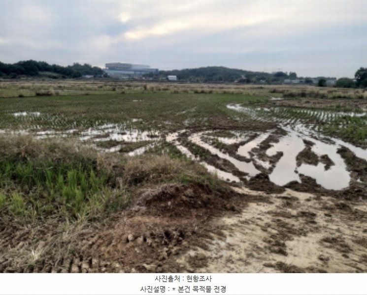 2024타경52046 경기도 평택시 현덕면 운정리 397-1 농지 경매 이미지