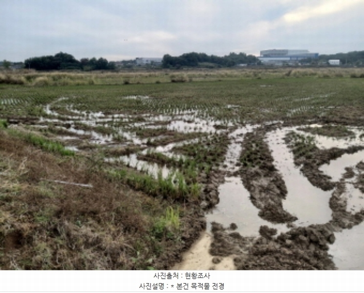 2024타경52046 경기도 평택시 현덕면 운정리 397-1 농지 경매 이미지
