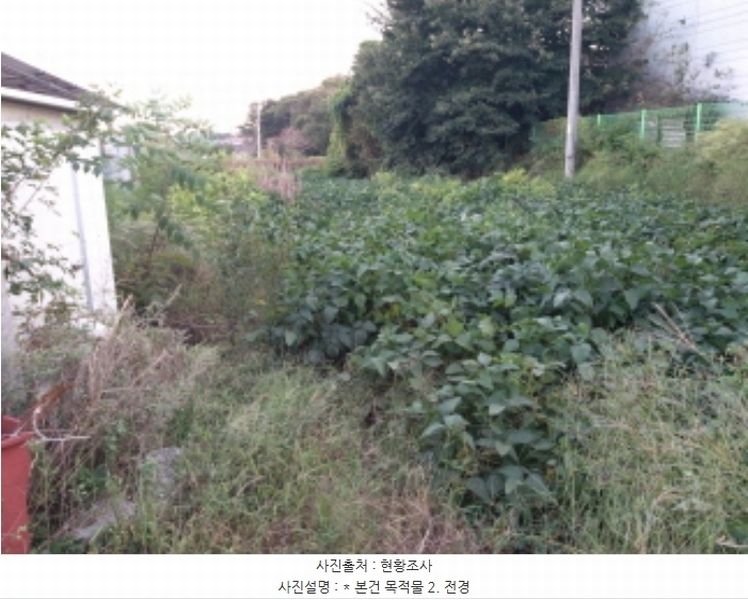 2024타경52053 경기도 평택시 포승읍 원정리 107-7 주택 경매 이미지