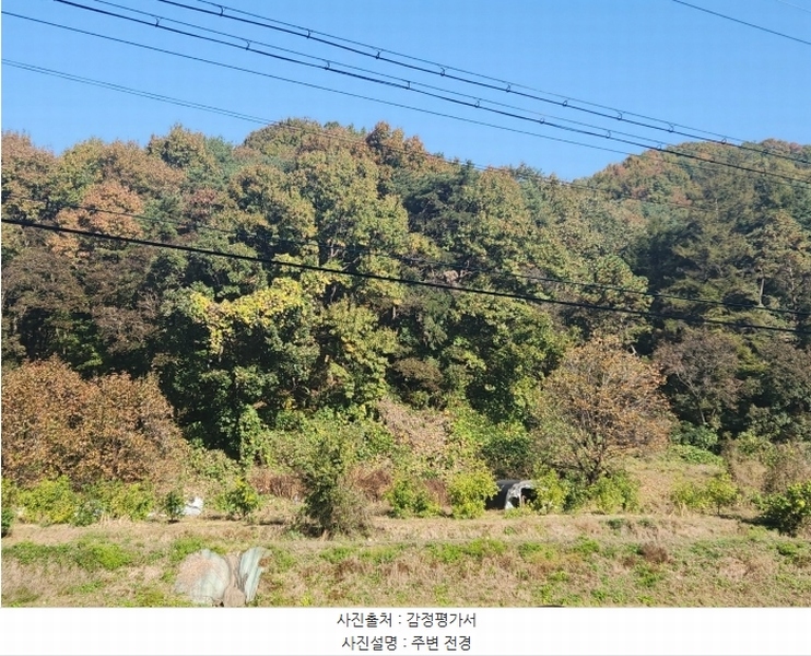 2024타경53551 경기도 안성시 금광면 사흥리 산1-3 임야 경매 이미지
