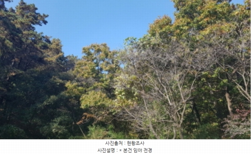 2024타경53551 경기도 안성시 금광면 사흥리 산1-3 임야 경매 이미지