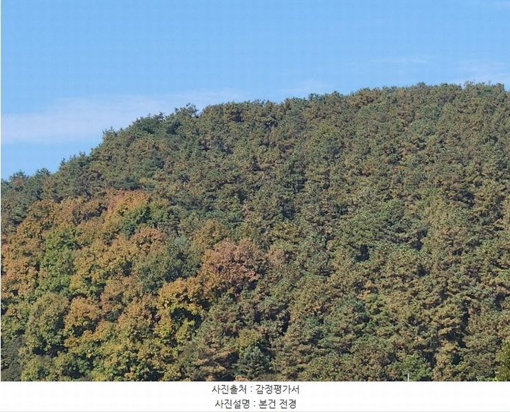 2024타경53551 경기도 안성시 금광면 사흥리 산1-3 임야 경매 이미지