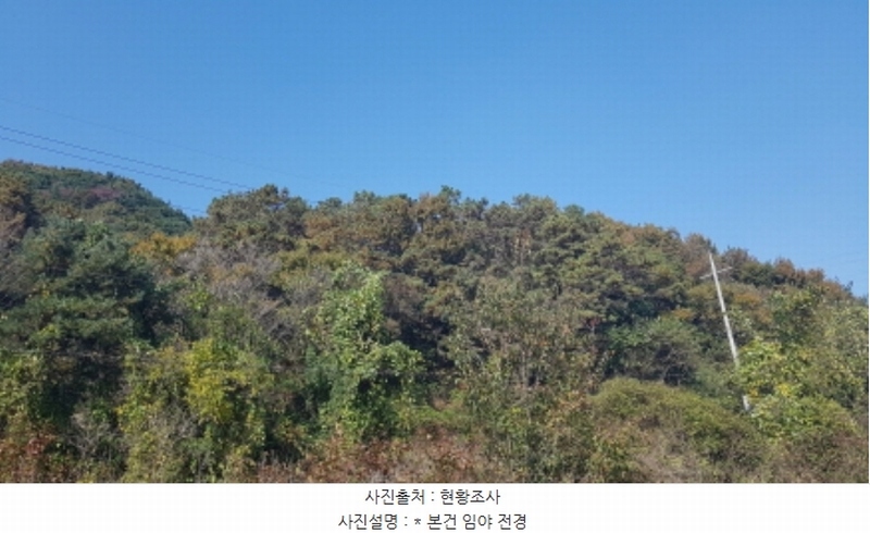 2024타경53551 경기도 안성시 금광면 사흥리 산1-3 임야 경매 이미지