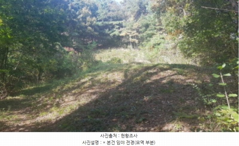 2024타경53551 경기도 안성시 금광면 사흥리 산1-3 임야 경매 이미지