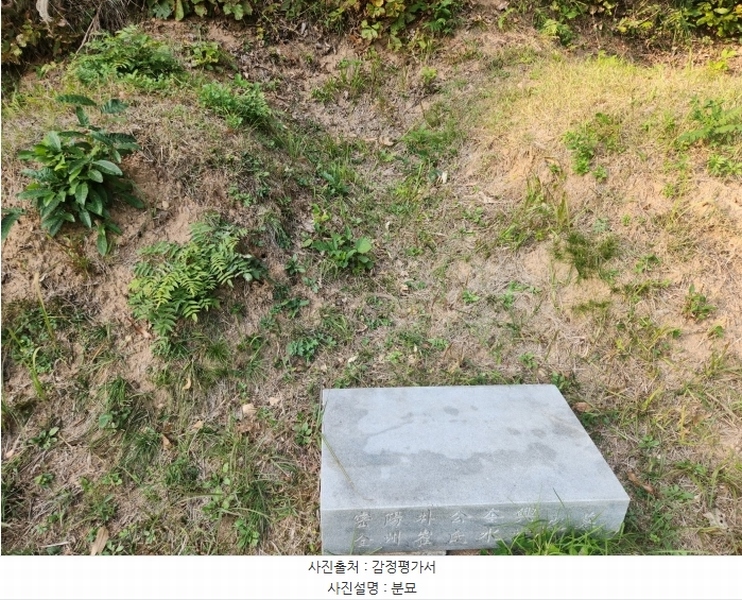 2024타경53551 경기도 안성시 금광면 사흥리 산1-3 임야 경매 이미지