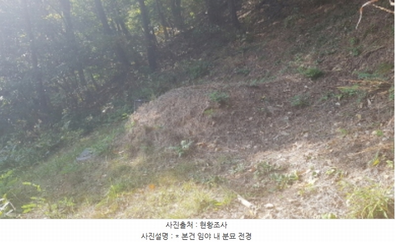 2024타경53551 경기도 안성시 금광면 사흥리 산1-3 임야 경매 이미지