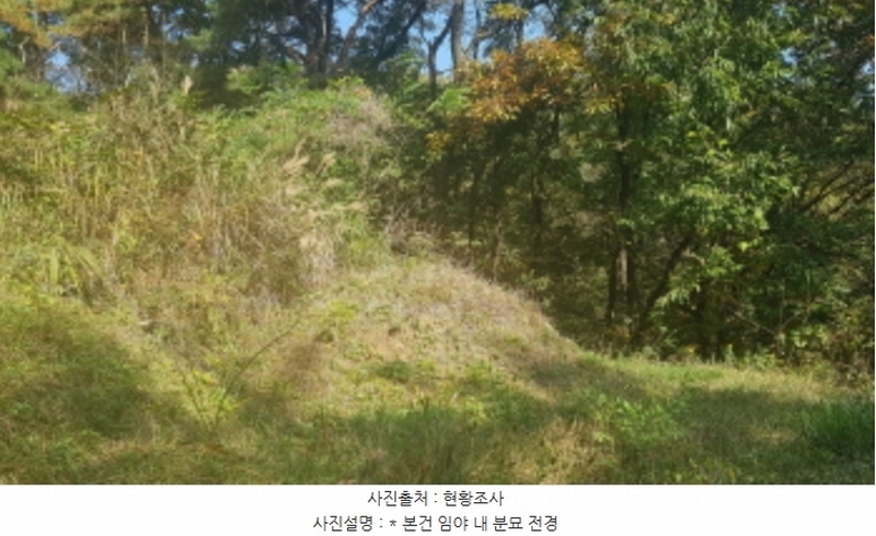 2024타경53551 경기도 안성시 금광면 사흥리 산1-3 임야 경매 이미지