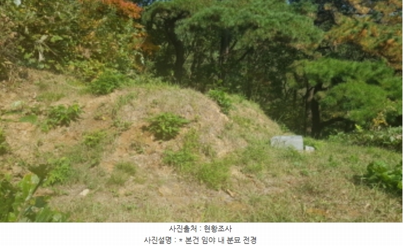2024타경53551 경기도 안성시 금광면 사흥리 산1-3 임야 경매 이미지