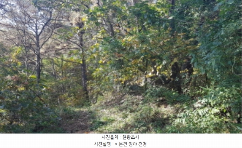 2024타경53551 경기도 안성시 금광면 사흥리 산1-3 임야 경매 이미지