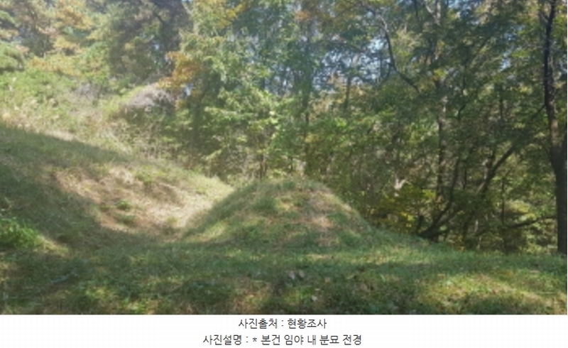 2024타경53551 경기도 안성시 금광면 사흥리 산1-3 임야 경매 이미지