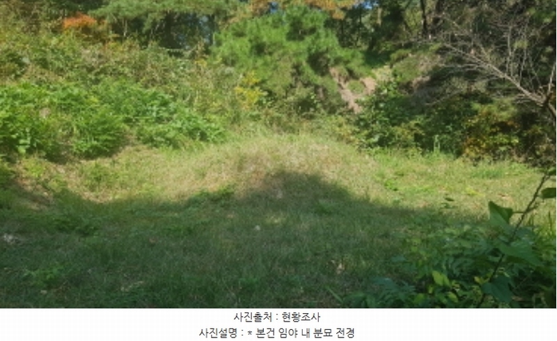 2024타경53551 경기도 안성시 금광면 사흥리 산1-3 임야 경매 이미지
