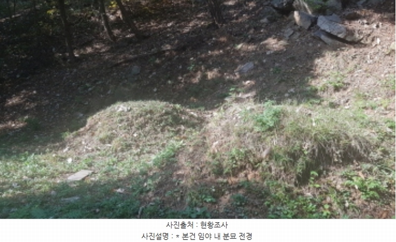 2024타경53551 경기도 안성시 금광면 사흥리 산1-3 임야 경매 이미지