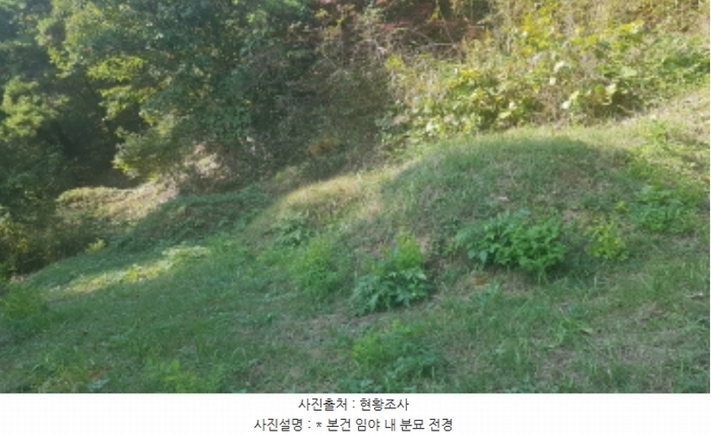 2024타경53551 경기도 안성시 금광면 사흥리 산1-3 임야 경매 이미지