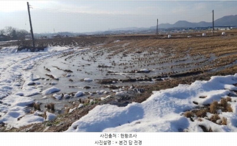 2024타경55298 경기도 안성시 대덕면 소내리 172 농지 경매 이미지