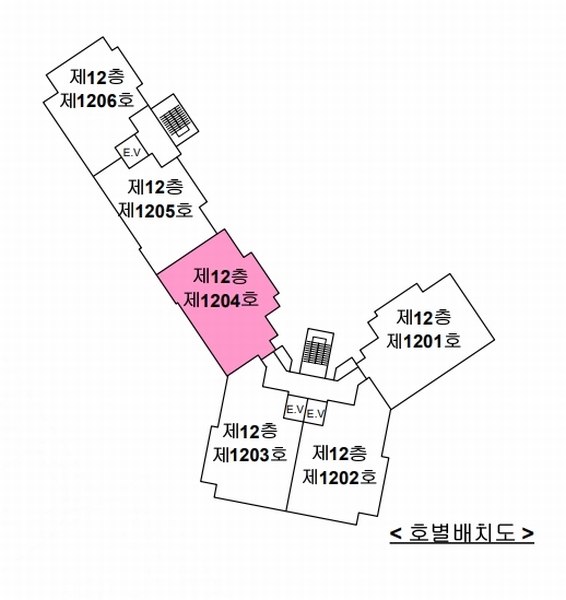 2024타경55861 경기도 안성시 대덕면 서동대로 4725, 안성롯데캐슬 130동 12층 1204호 아파트[공급30평형] 경매 이미지