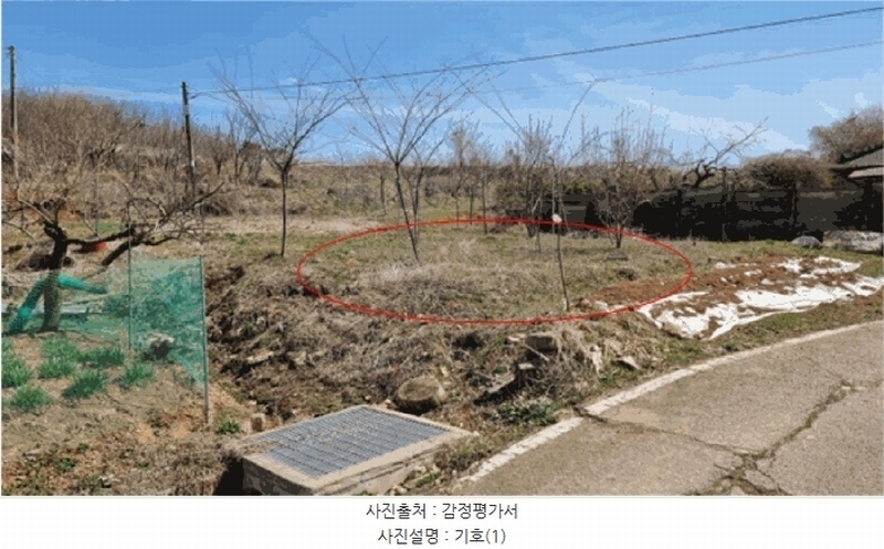 2025타경41564 경기도 평택시 포승읍 홍원리 105 농지 경매 이미지