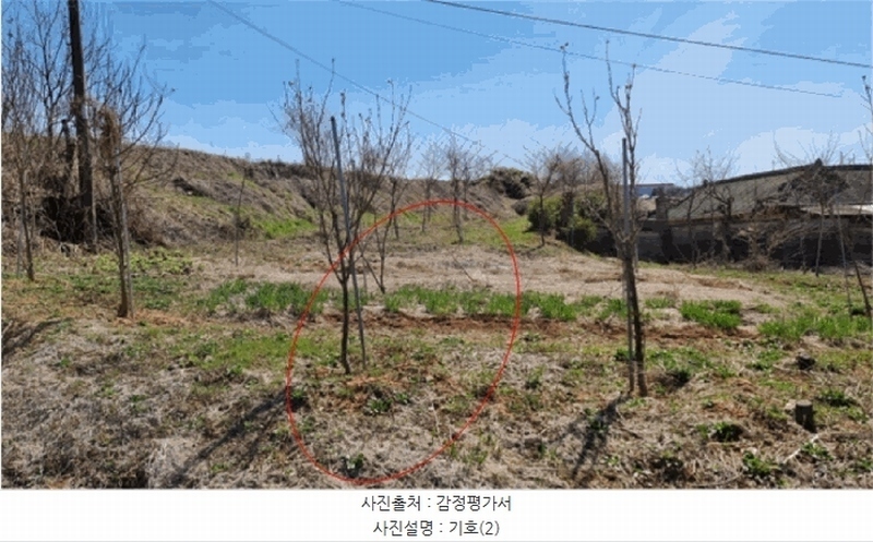 2025타경41564 경기도 평택시 포승읍 홍원리 105 농지 경매 이미지