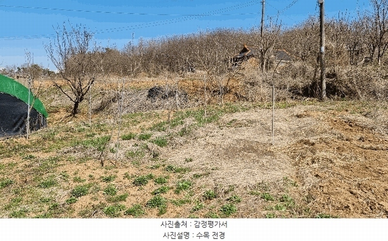 2025타경41564 경기도 평택시 포승읍 홍원리 105 농지 경매 이미지