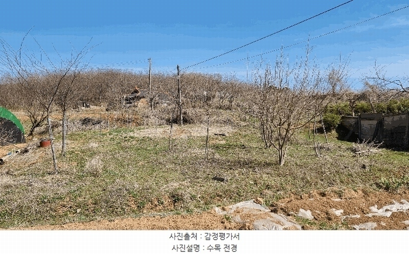 2025타경41564 경기도 평택시 포승읍 홍원리 105 농지 경매 이미지